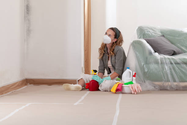 Reliable Commercial Mold Remediation contractor in Sumner, WA by WQB Mold Removal